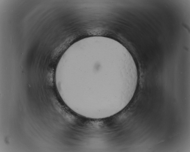 X0000103970065200810101318