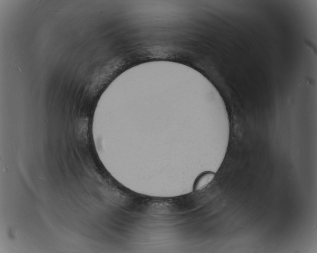 X0000103970066200810101318