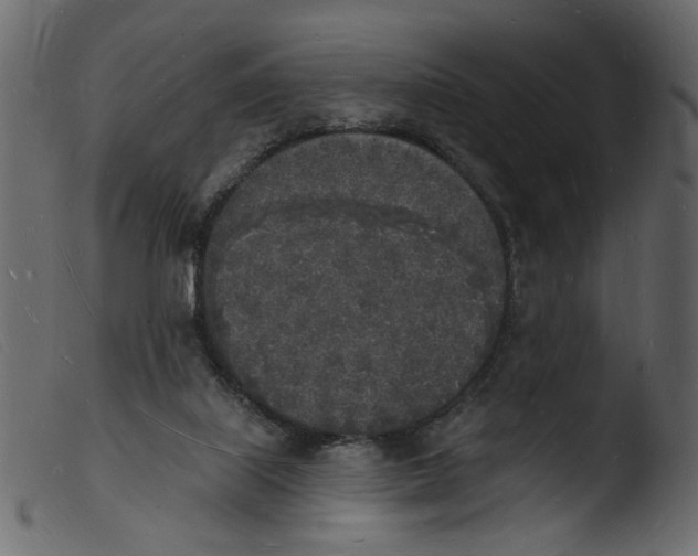 X0000103970067200810101318