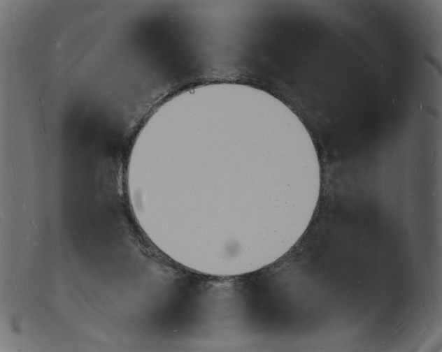 X0000103970068200810101318