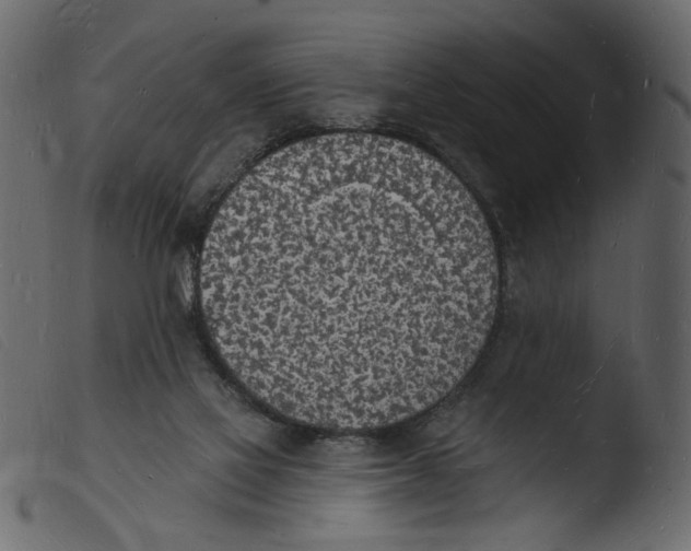 X0000103970069200810101318