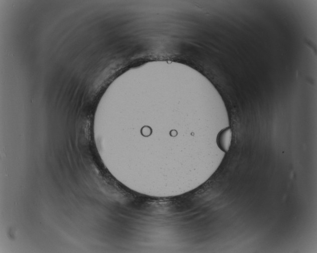 X0000103970071200810101318