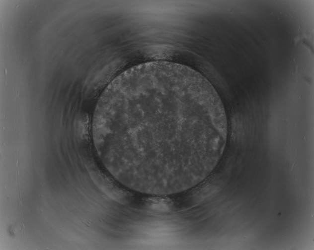 X0000103970073200810101318