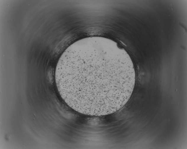 X0000103970074200810101318