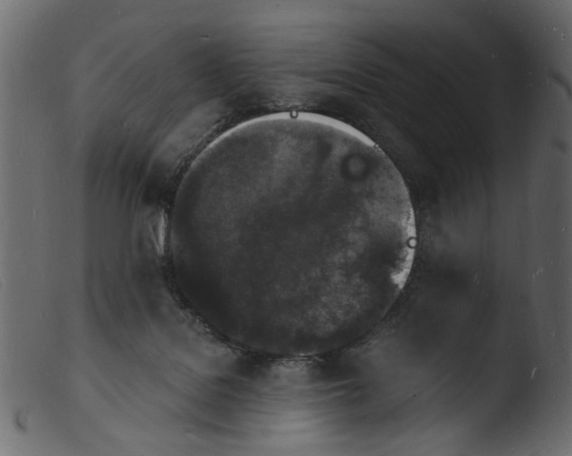 X0000103970076200810101318