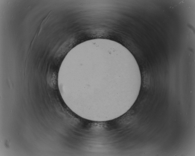 X0000103970077200810101318