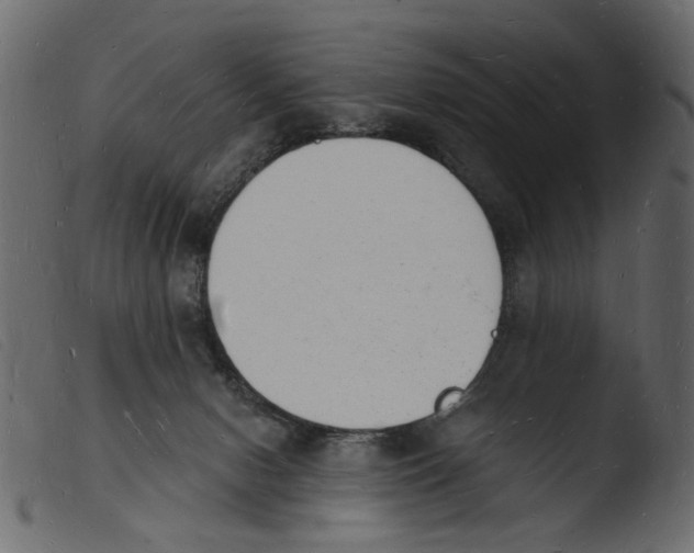 X0000103970078200810101318