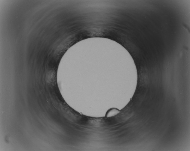 X0000103970079200810101318