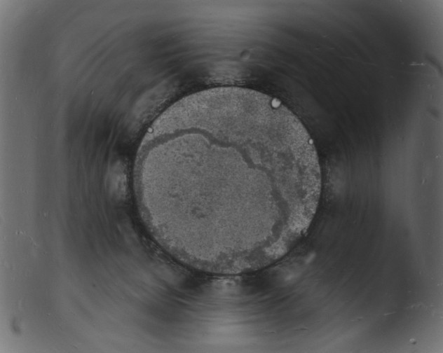 X0000103970080200810101318