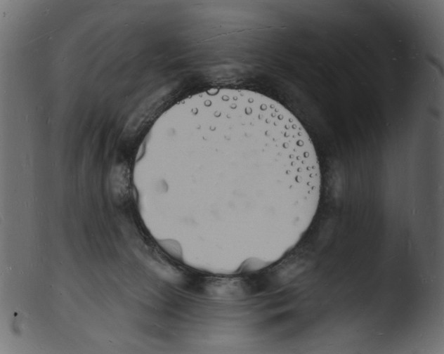 X0000103970081200810101318