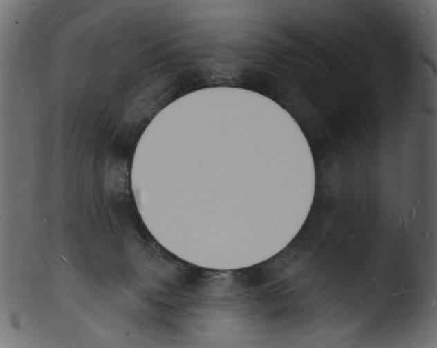 X0000103970083200810101318