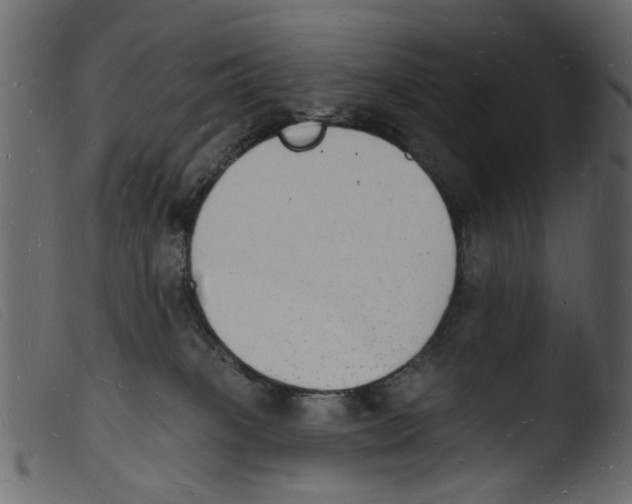 X0000103970085200810101318