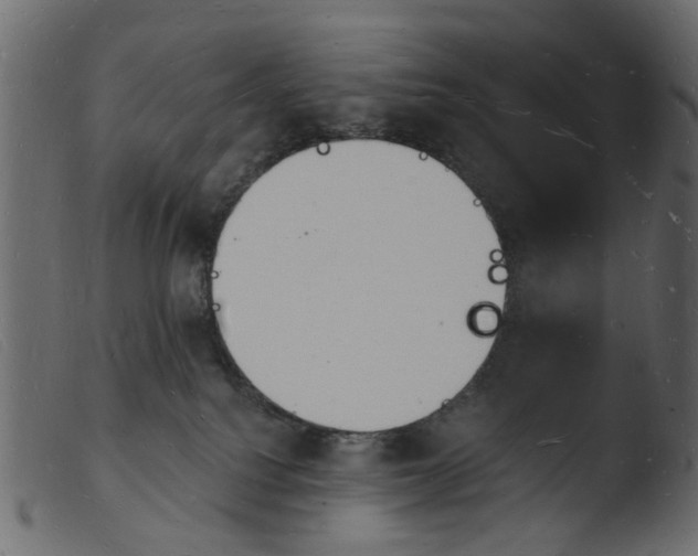 X0000103970088200810101318