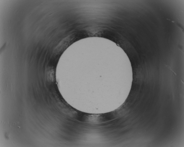 X0000103970090200810101318