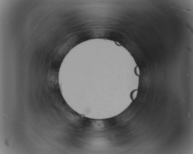 X0000103970091200810101318