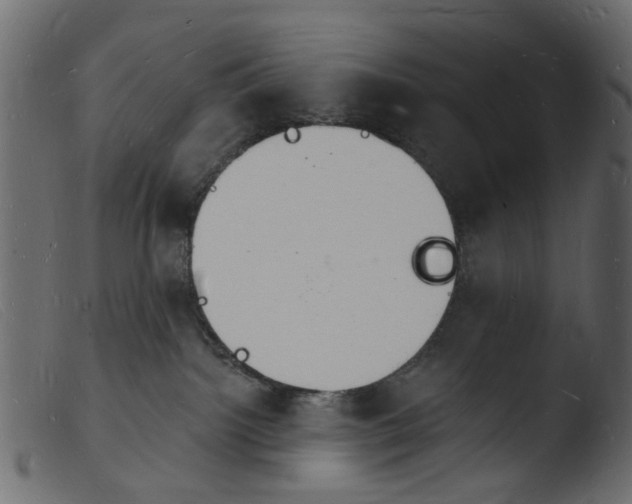 X0000103970092200810101318