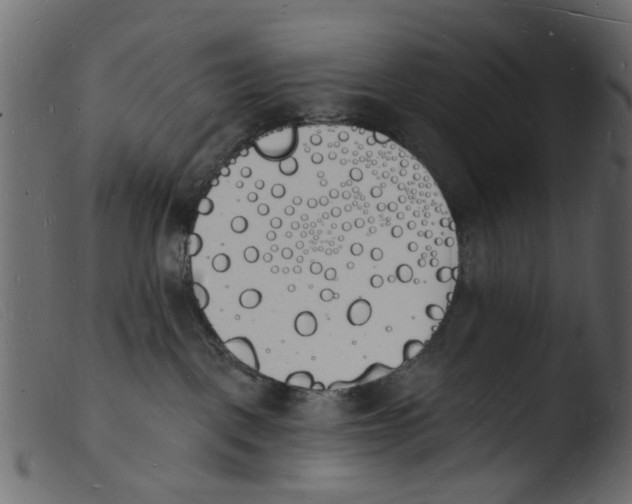 X0000103970093200810101318