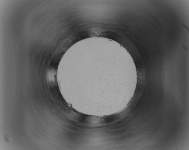 X0000103970094200810101318