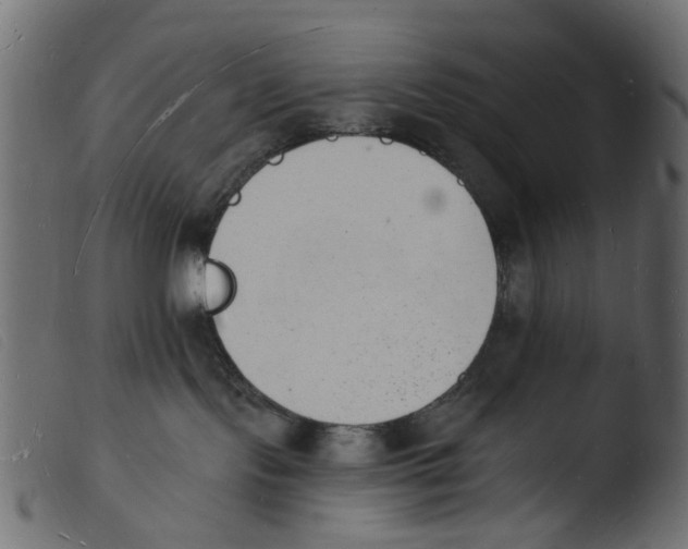 X0000103970095200810101318