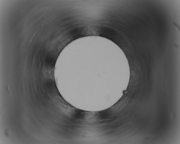 X0000103970096200810101318