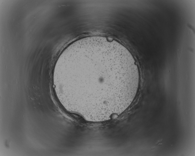 X0000103970097200810101318