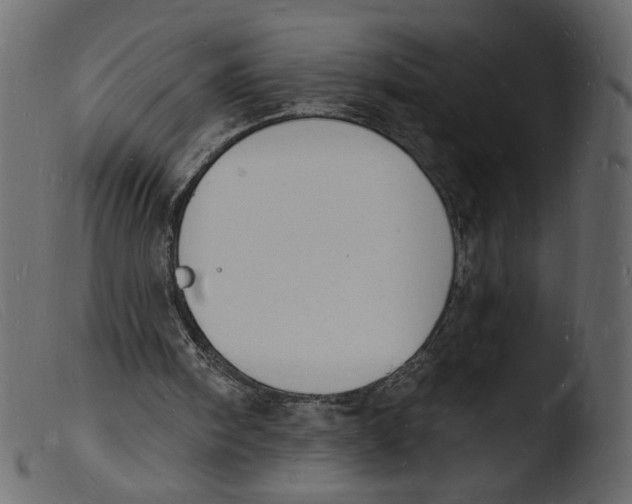 X0000103970098200810101318