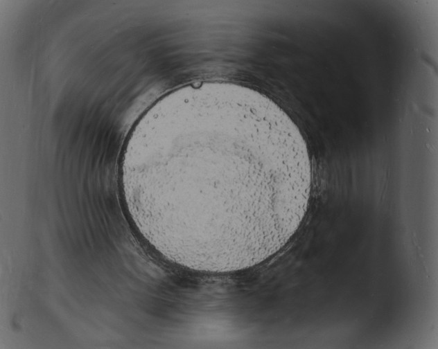 X0000103970099200810101318