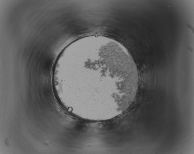 X0000103970100200810101318