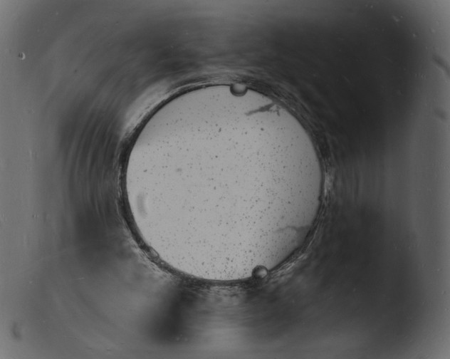 X0000103970101200810101318