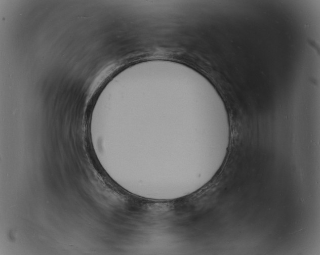 X0000103970102200810101318