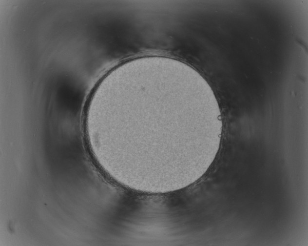 X0000103970104200810101318