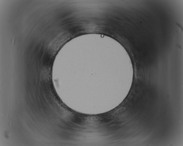 X0000103970105200810101318