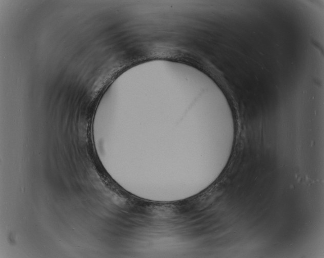 X0000103970106200810101318