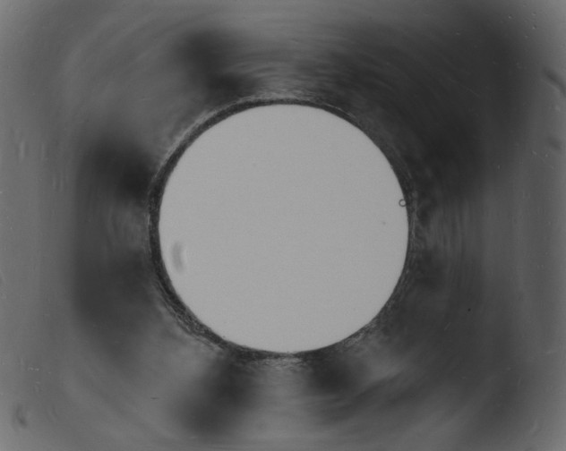 X0000103970108200810101318