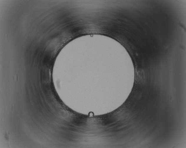 X0000103970109200810101318