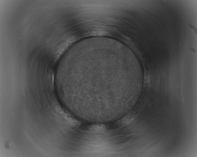 X0000103970110200810101318