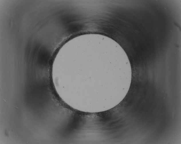 X0000103970112200810101318