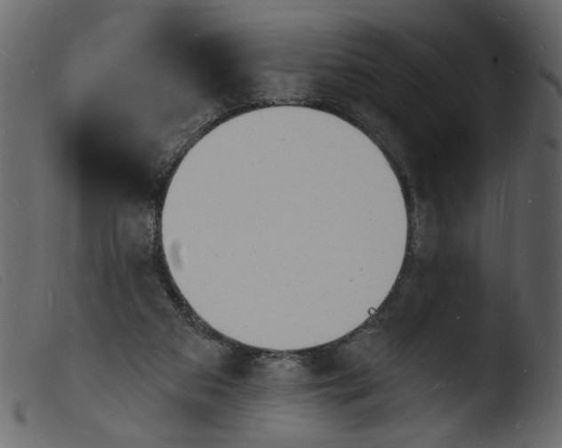 X0000103970113200810101318