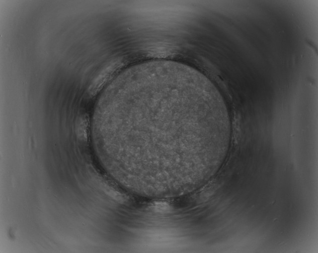 X0000103970114200810101318