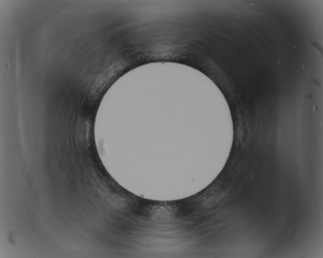 X0000103970115200810101318