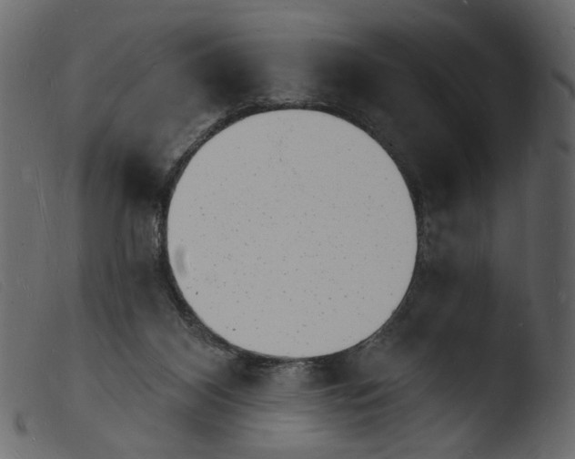 X0000103970116200810101318