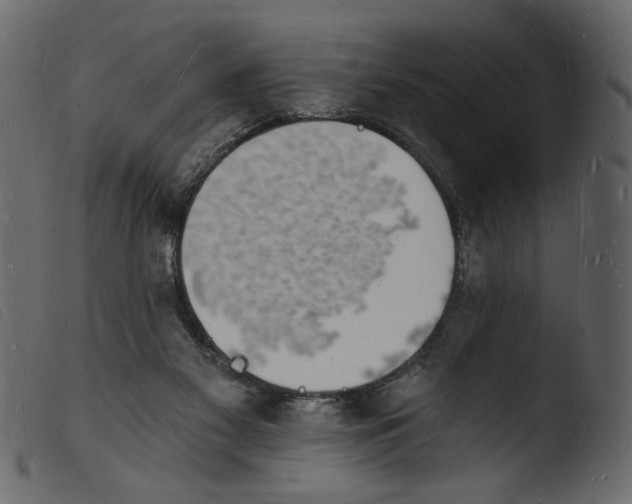 X0000103970117200810101318