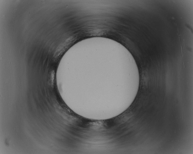 X0000103970118200810101318