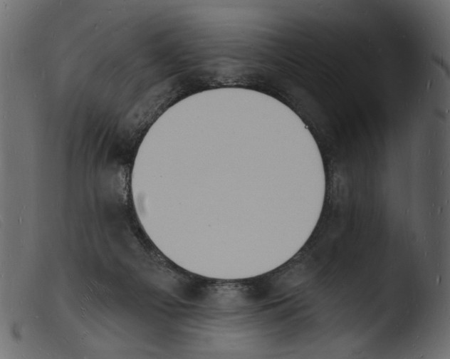 X0000103970121200810101317