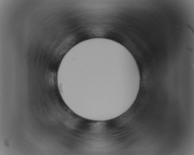 X0000103970122200810101317