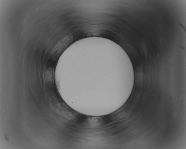 X0000103970126200810101317