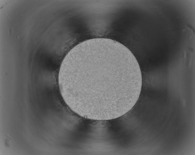 X0000103970128200810101317