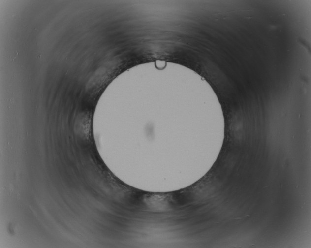 X0000103970129200810101317