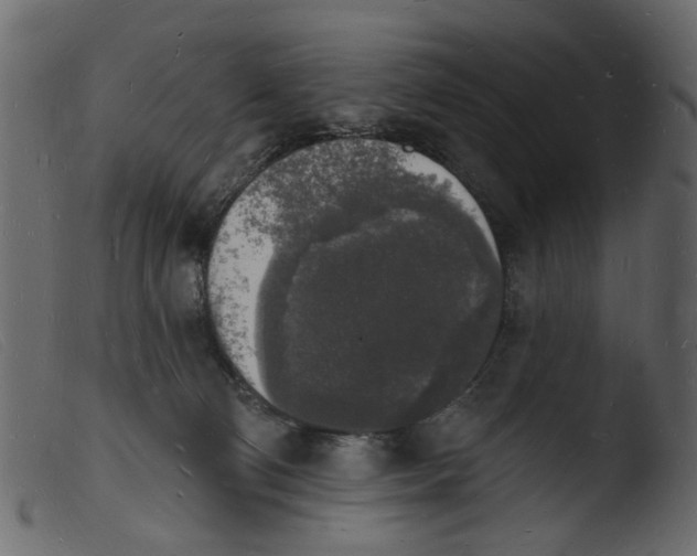 X0000103970130200810101317