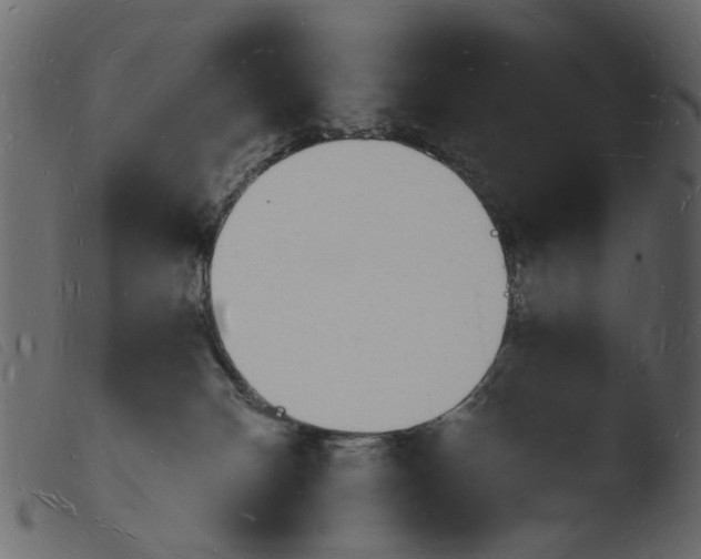 X0000103970132200810101317